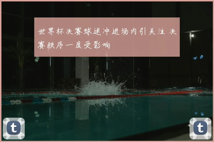 世界杯决赛球迷冲进场内引关注 决赛秩序一度受影响