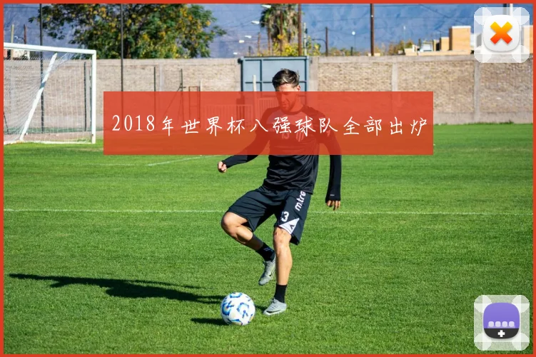 2018年世界杯八强球队全部出炉