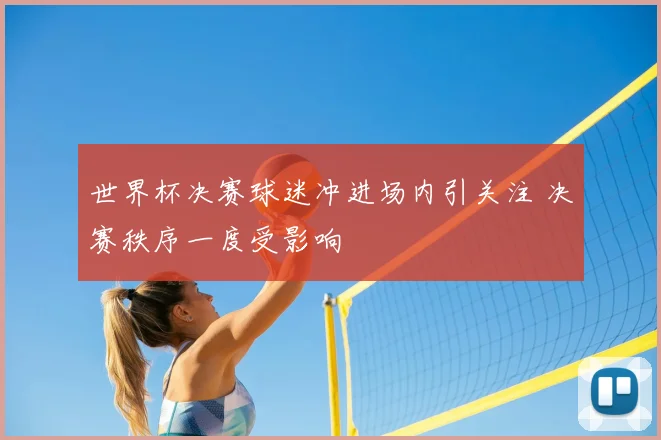 世界杯决赛球迷冲进场内引关注 决赛秩序一度受影响