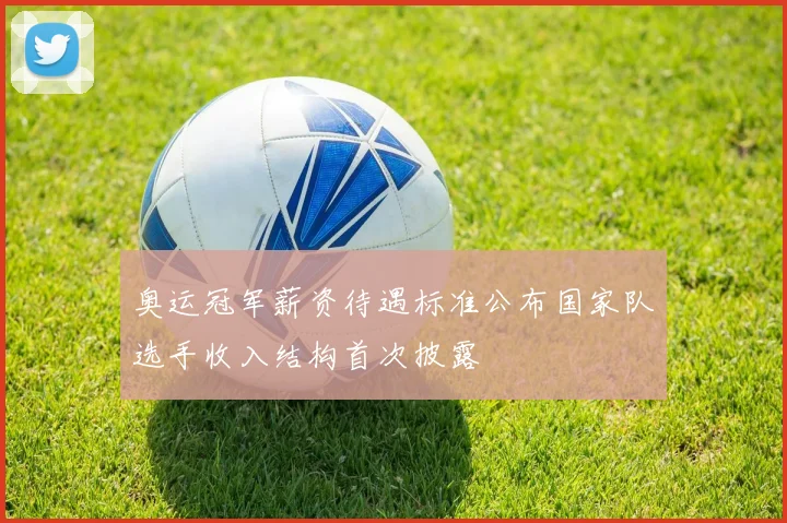 奥运冠军薪资待遇标准公布国家队选手收入结构首次披露