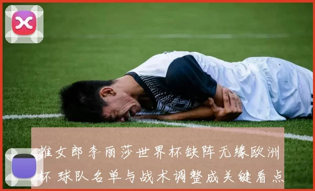 推女郎李丽莎世界杯缺阵无缘欧洲杯 球队名单与战术调整成关键看点