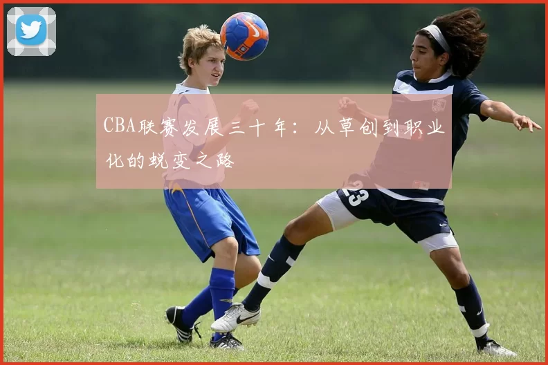 CBA联赛发展三十年:从草创到职业化的蜕变之路